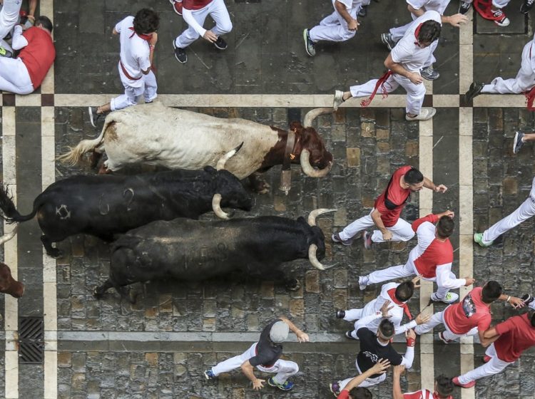 sanfermín, sanfermines, vivasanfermin, gorasanfermin, sanferminfestival, festival of san fermin, post office, estafeta street, running of the bulls, running with the bulls, bullrun, bullruning, bucket list, bucketlist, hemingway, pamplona, navarre, iruña, iruna, festival, folklore, pamplona, pamplona, pamplona, pamplona, pamplona